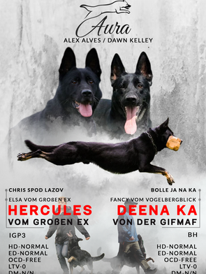 DEENA KA VON DER GIFMAF x HERCULES VON GROBEN EX