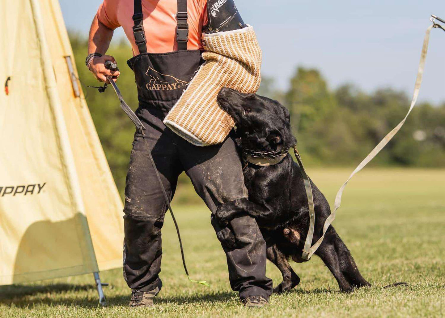 att.Za4v9gWU3RK1eKim9RL-kRZ5LUl2ksGkHsGLdXb3akc