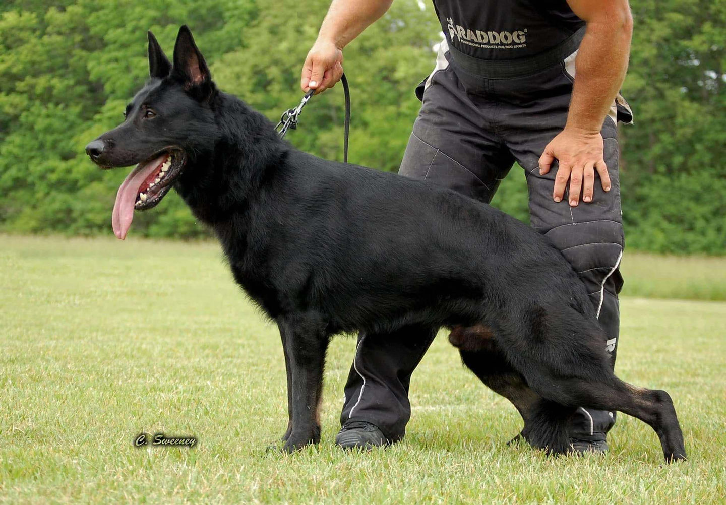 att.VH-DXh2KqObikLMvEeWAH2BqD7w1R93Nh7_HJTSyOnY