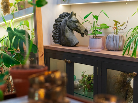 Behind the Door: Discover Powell’s Best-Kept Home Decor Secret
