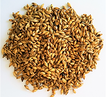צמח Mai Ya (Hordei Fructus germinatus)