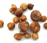 צמח Zhi Ban Xia (Pinelliae Rhizoma preparatum)