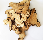 צמח Bai Zhu (Atractylodis macrocephalae Rhizoma)