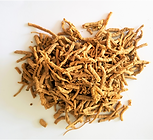 Yuan Zhi (Polygalae Radix)