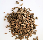 Xu Duan (Dipsaci Radix)