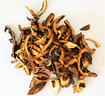 צמח Zhi Ke (Aurantii Fructus)