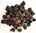 צמח Shen Qu (Massa medicata fermentata)