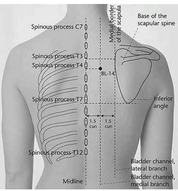 Lu-5