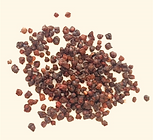 Wu Wei Zi (Schisandrae Fructus)