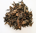 צמח Da Qing Ye (Isatidis Folium)