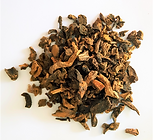 Yu Zhu (Polygonati odorati Rhizoma)