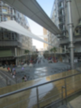 IMG_0145.jpeg