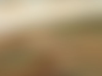 28. Mai 2026, 19 Uhr: Vortrag „Die Anfänge von Hollabrunn – der Wilde Osten vor 1000 Jahren“