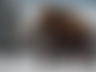 11. Juni 2026, 19 Uhr: Vortrag „Die Mammuts im Weinkeller“