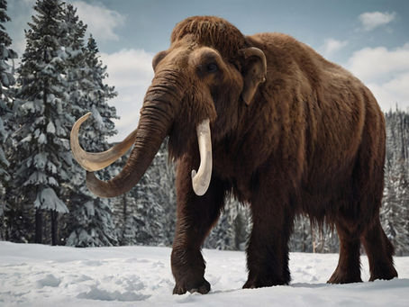 11. Juni 2026, 19 Uhr: Vortrag „Die Mammuts im Weinkeller“