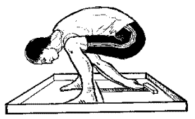 flexion-profunda-cuerpo.gif