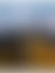 Lightroom Adobe Color Camera Profile vs. Adaptive Color