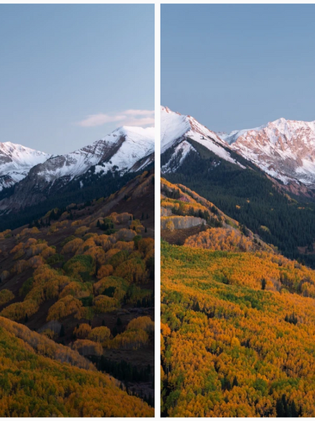 Lightroom Adobe Color Camera Profile vs. Adaptive Color