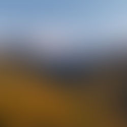 Landscape photo comparing Adaptive Color 100 and Adobe Color camera profile camera profile