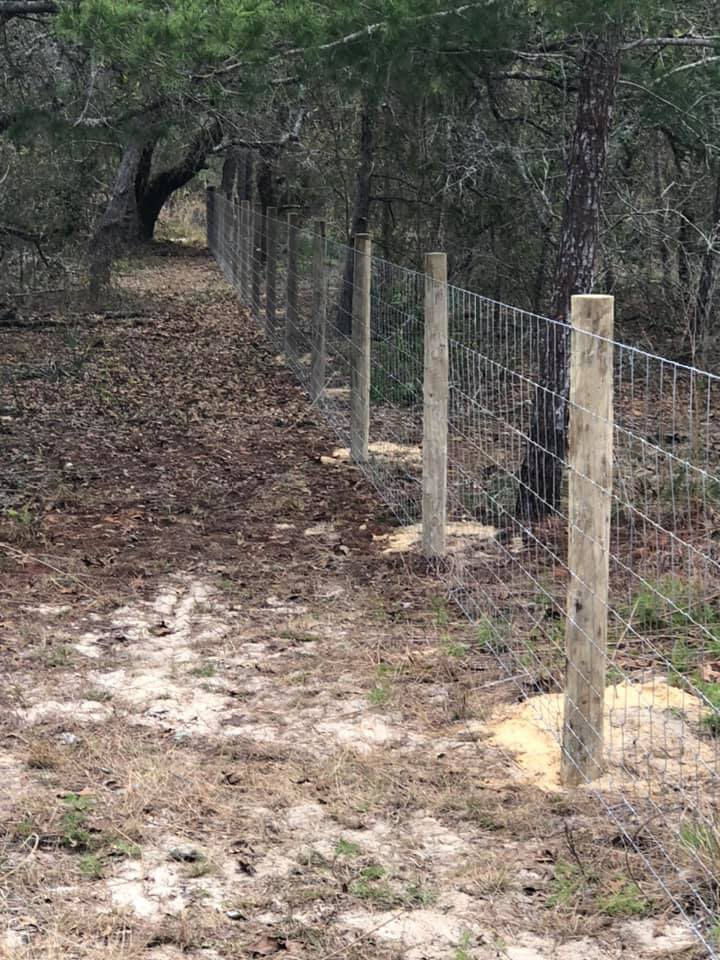 field fence in central florida by whitelaw fence