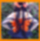 Thumbnail: Wing Top