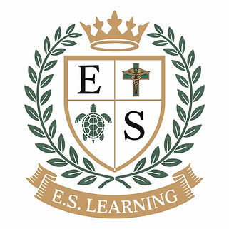 es learning.jpg