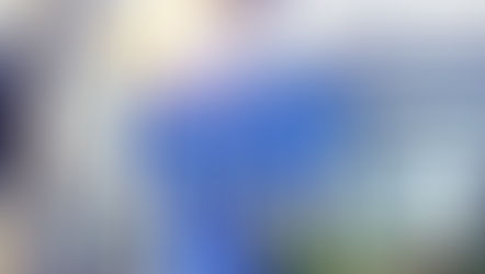 Is Europe Really Turning Japanese?