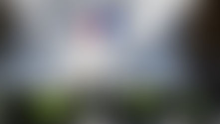 The pin in the grenade