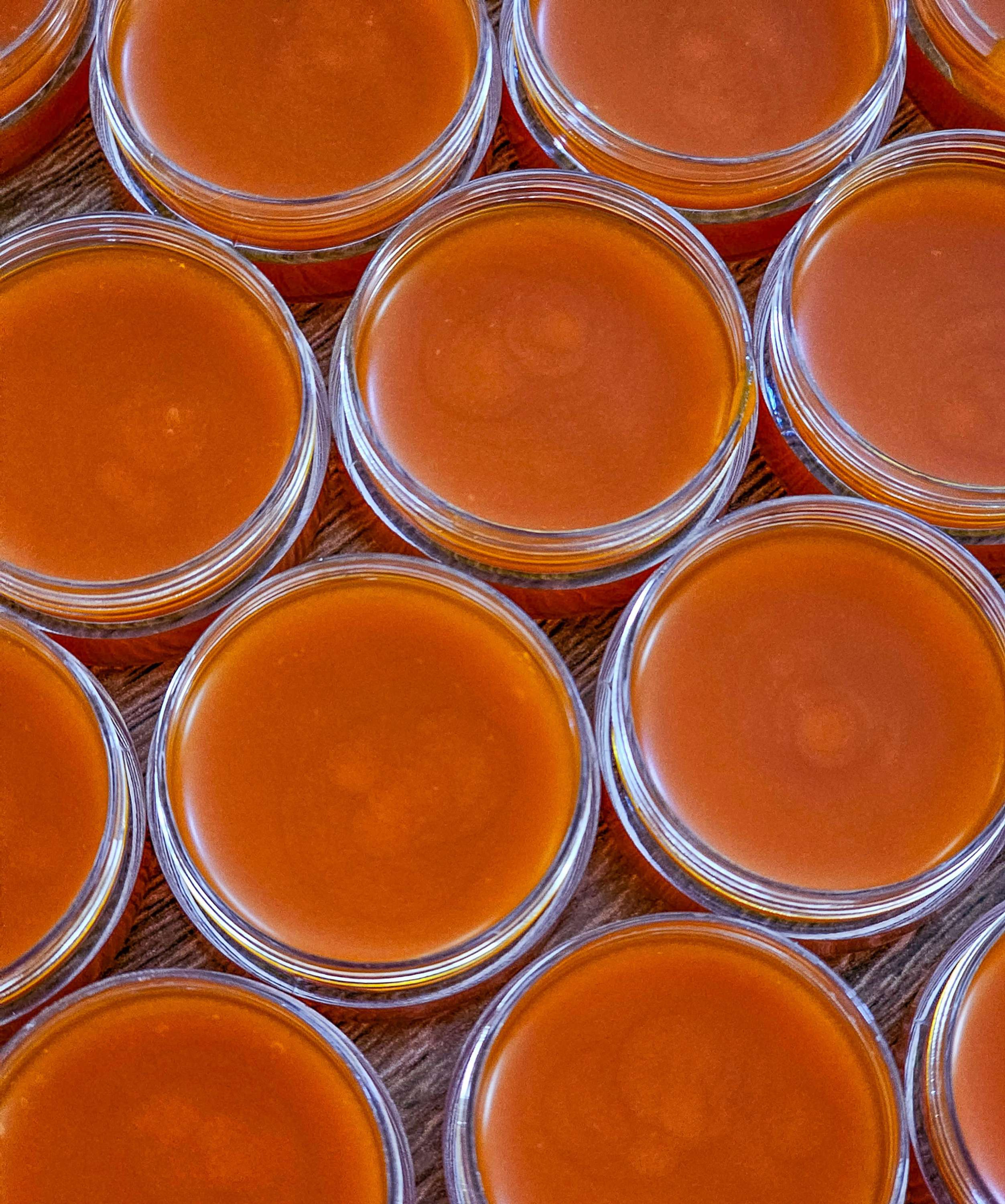 Organic Red Palm Oil - Hermit Crab Treat