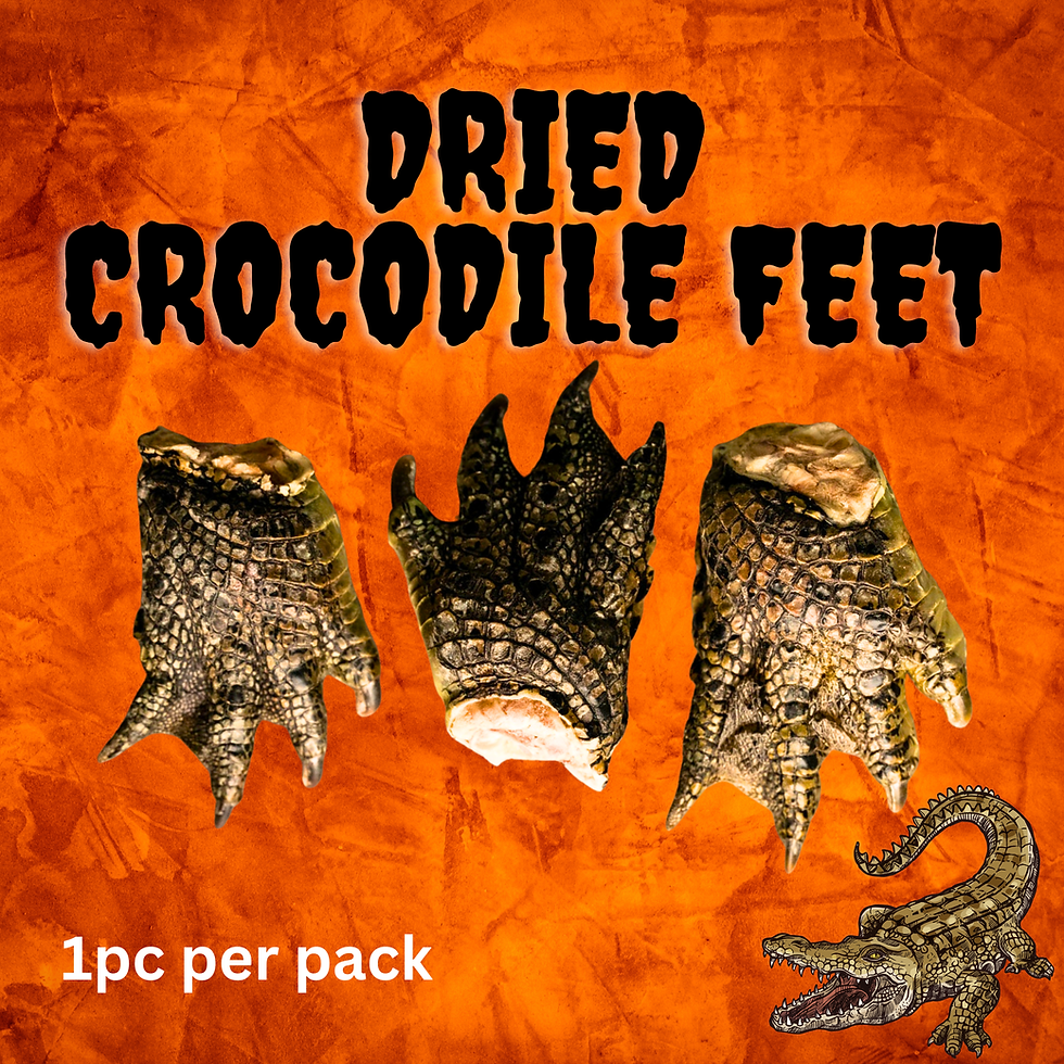Dried Crocodile Feet - Halloween 2025 Treat