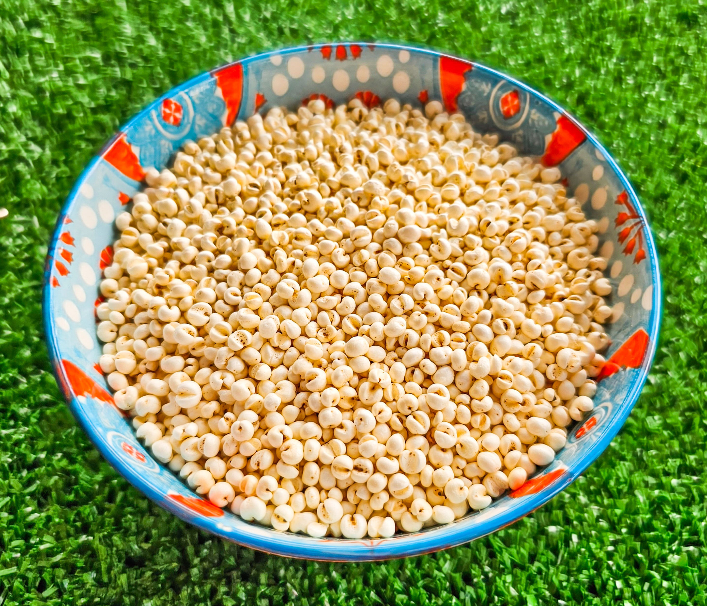 Organic Puffed Millet - Hermit Crab Treat