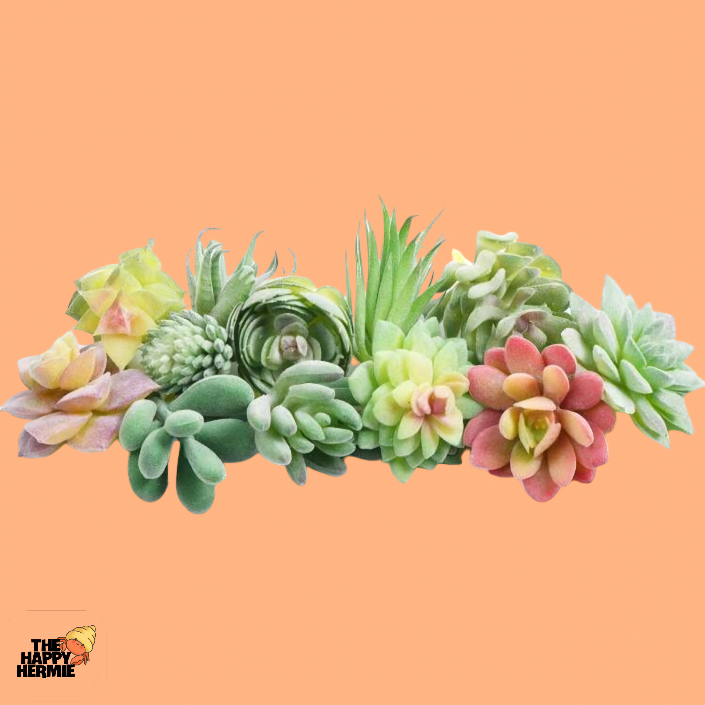 Faux Succulents - 10PC