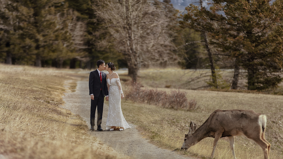 Banff Wedding Wedding Photography