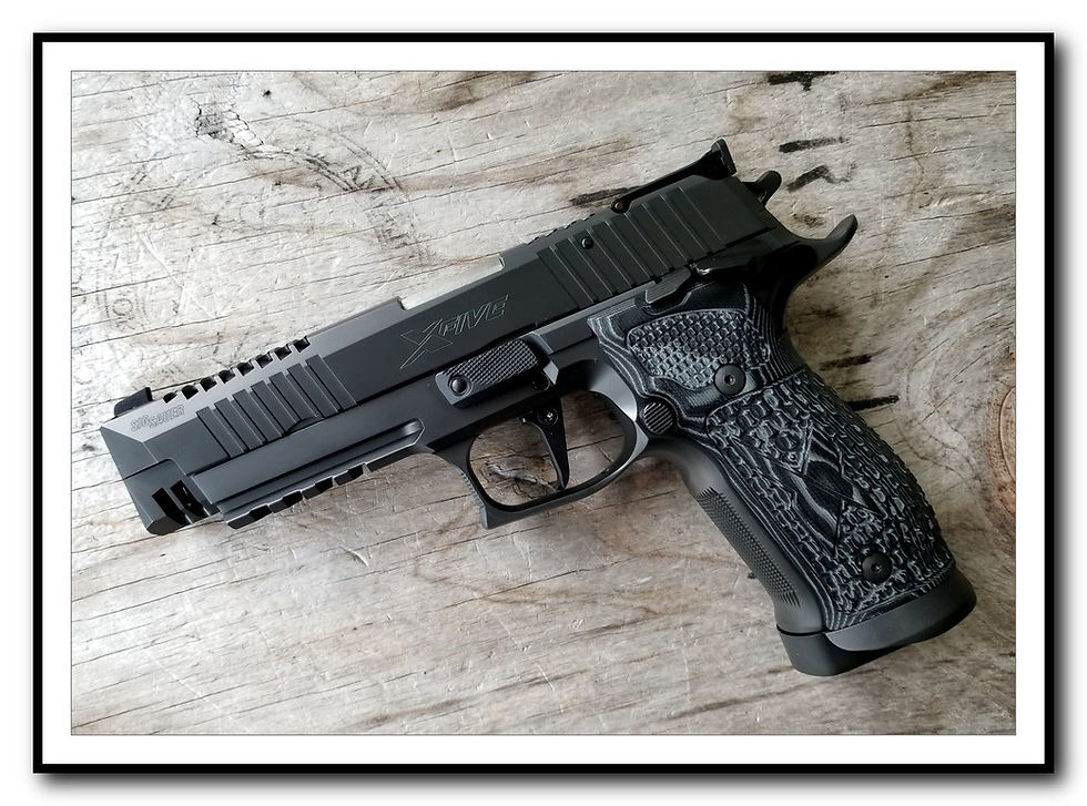 Thumbnail: SIG Sauer P226 Magwell