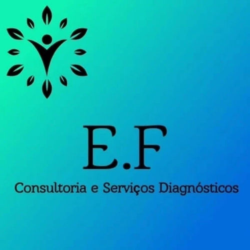 imagem da e.f.jpg