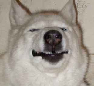 Sky.jpeg