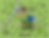 NIA Resort Map - 2025 FINAL (dark).png