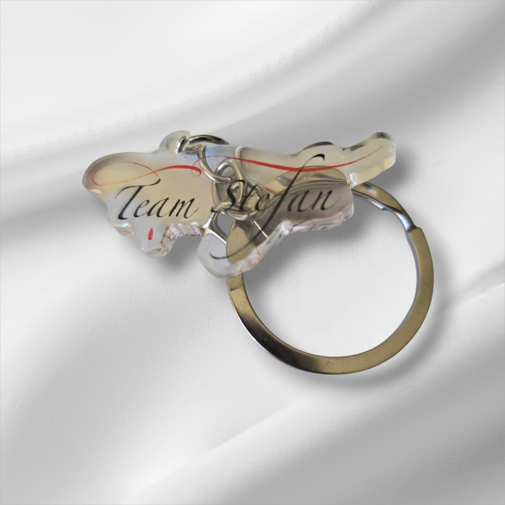 Porte-clé Acrylique - Transparent - TVDu - Team Stefan