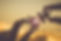 Silhouette Woman hands connecting couple puzzle piece against sunrise effect, businesswoma