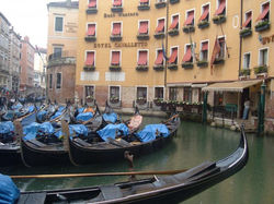 Venice (IT)