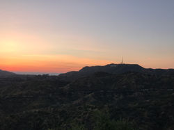 LA
