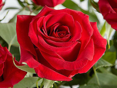 Pots fyrsti blogg póstur