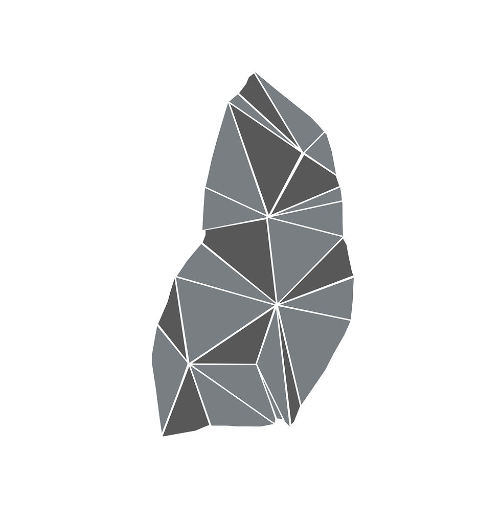 insight_inside out gries