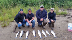 1610745_368733776607883_823831188856442843_n[1]