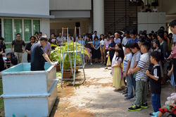 48245445092_7600fbe37d_6k