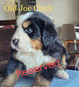 IMG_20250112_115010 (9)_edited.jpg