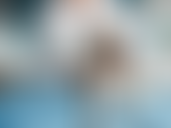 Lifetime vs Time-Limited Pet Insurance in the UAE | MooPet Cover