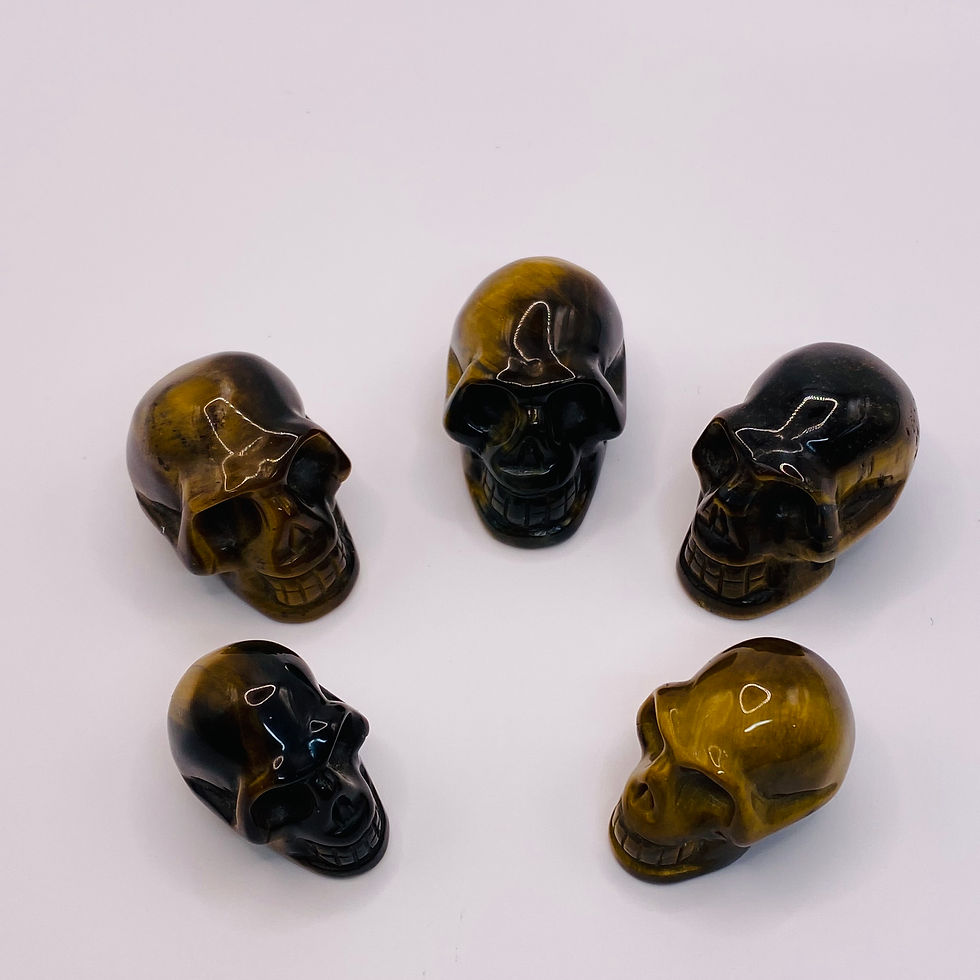 Thumbnail: Tiger's Eye Skulls a group of 5
