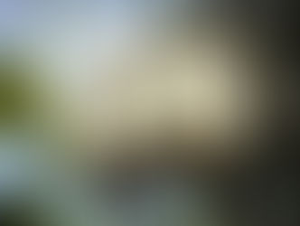 U.S. Senate bill could boost wireless technology