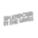 8-removebg-preview_edited